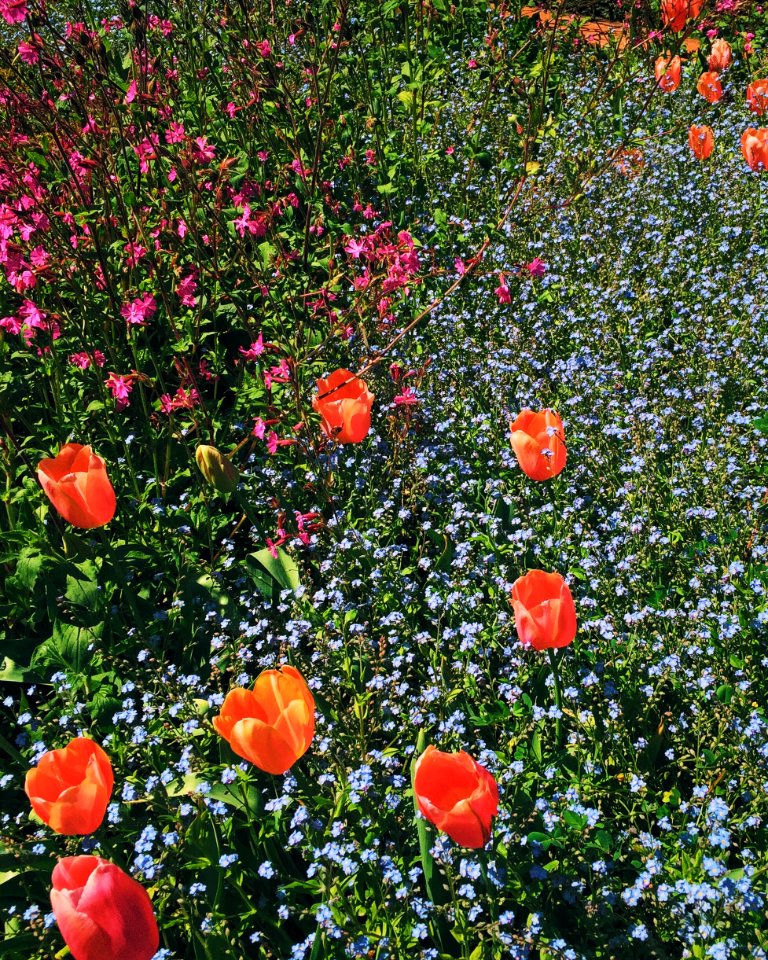 Filoli, Woodside, United states