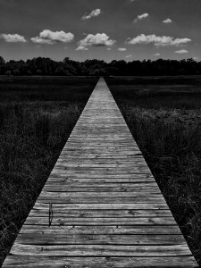 Johns Island, United states, Lowcountry