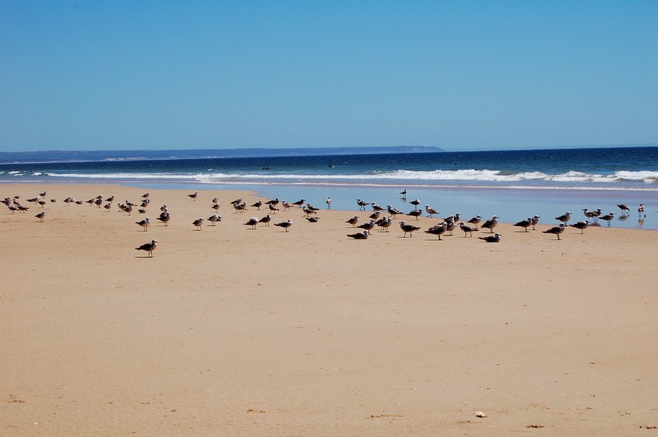 Lisbon, Portugal, Beach