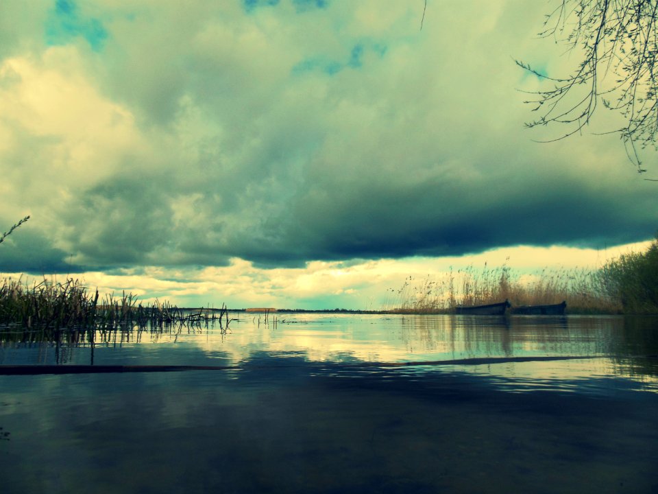 Belarus, Black lake, Nature