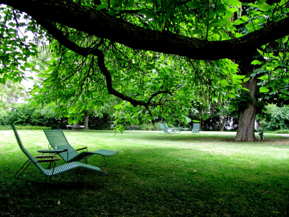 Relax, Chair, Park