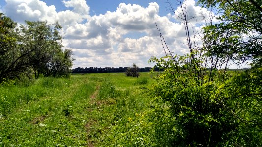 Nature, Clouds, Sky
