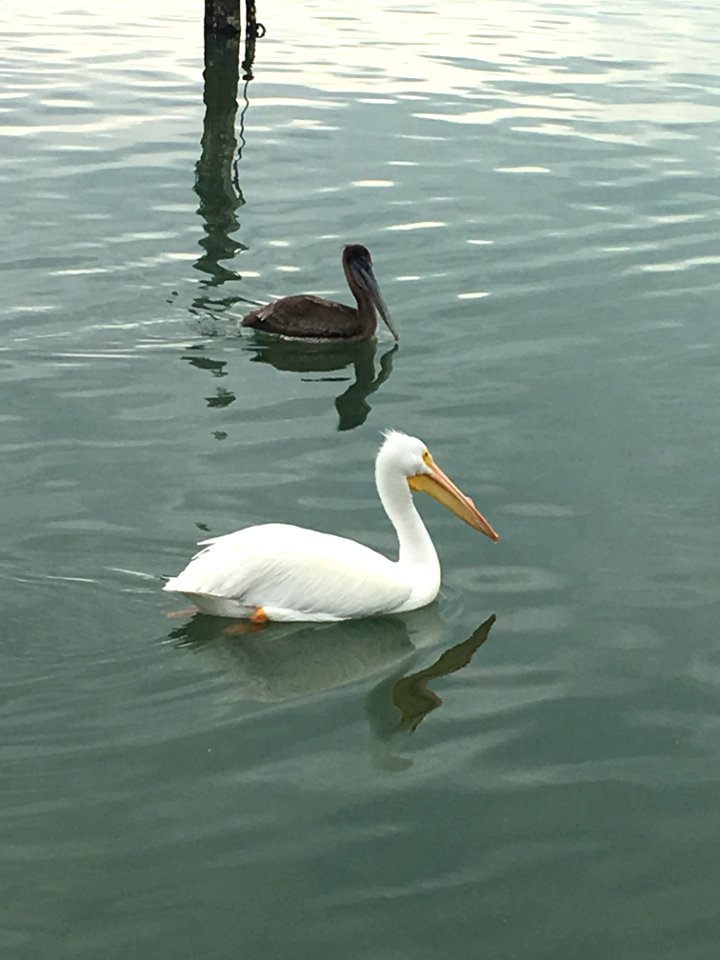 Cortez, United states, Bay