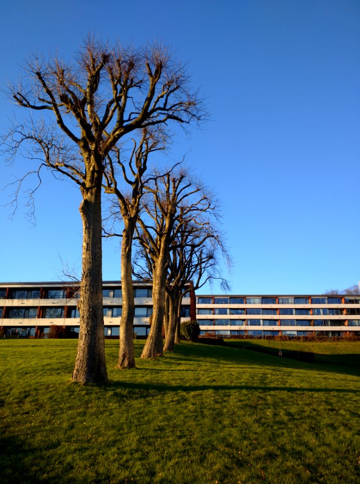 J p larsens vejhoffmannsvej aarhus, Brabrand, Central denmark region