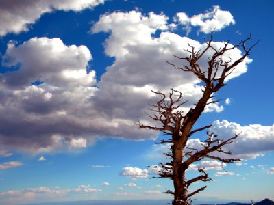 Wind, Openness, Colorado