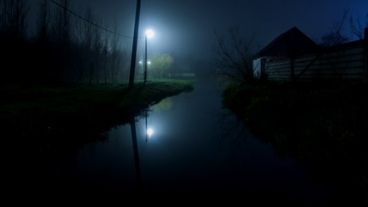 Tree, Darkness, Dark