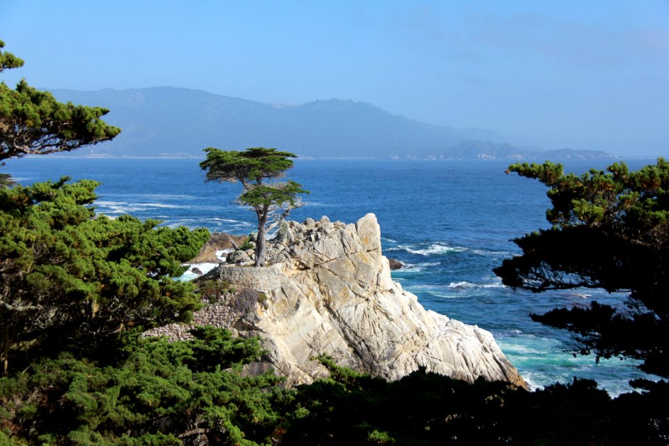 17 mile drive, Pacific grove, United states