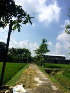 Indonesia, Rural, Farml