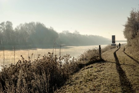 Walk, Nature, Cold