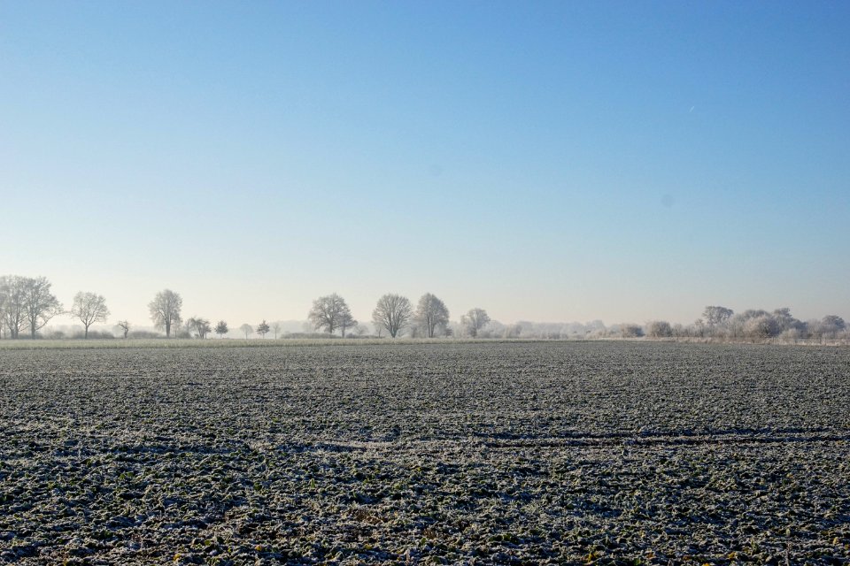 Field, Nature, Frozen