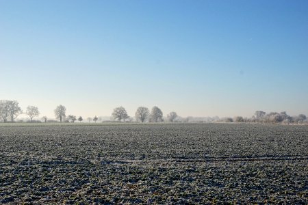 Field, Nature, Frozen