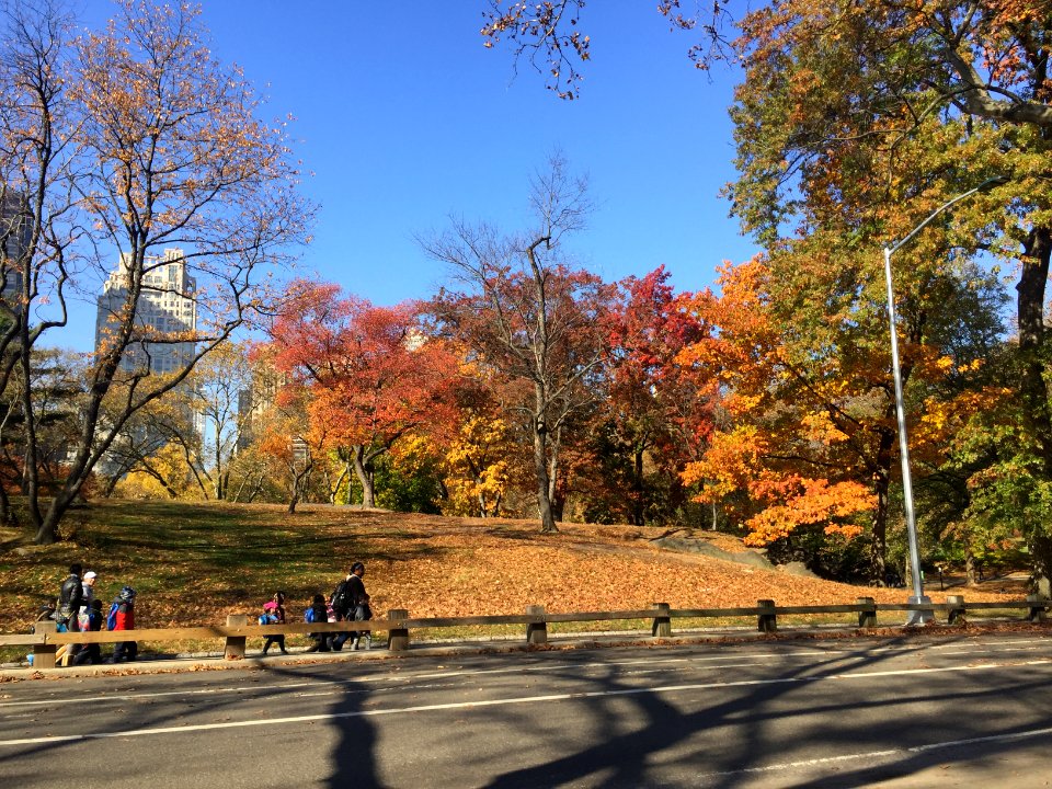 Central park, New york, United states photo