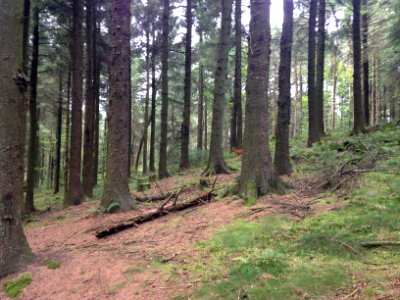 Goosnargh, Preston, Engl