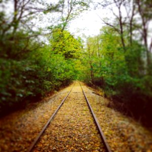 Autumn, Automne, Railway
