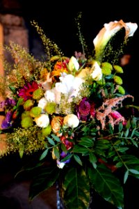 Flowers, Couleurs, Bouquet de fleurs photo