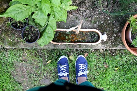 Chaussures bleues, Blue shoes, Feuilles photo