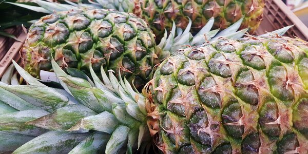 Tropical tropics food