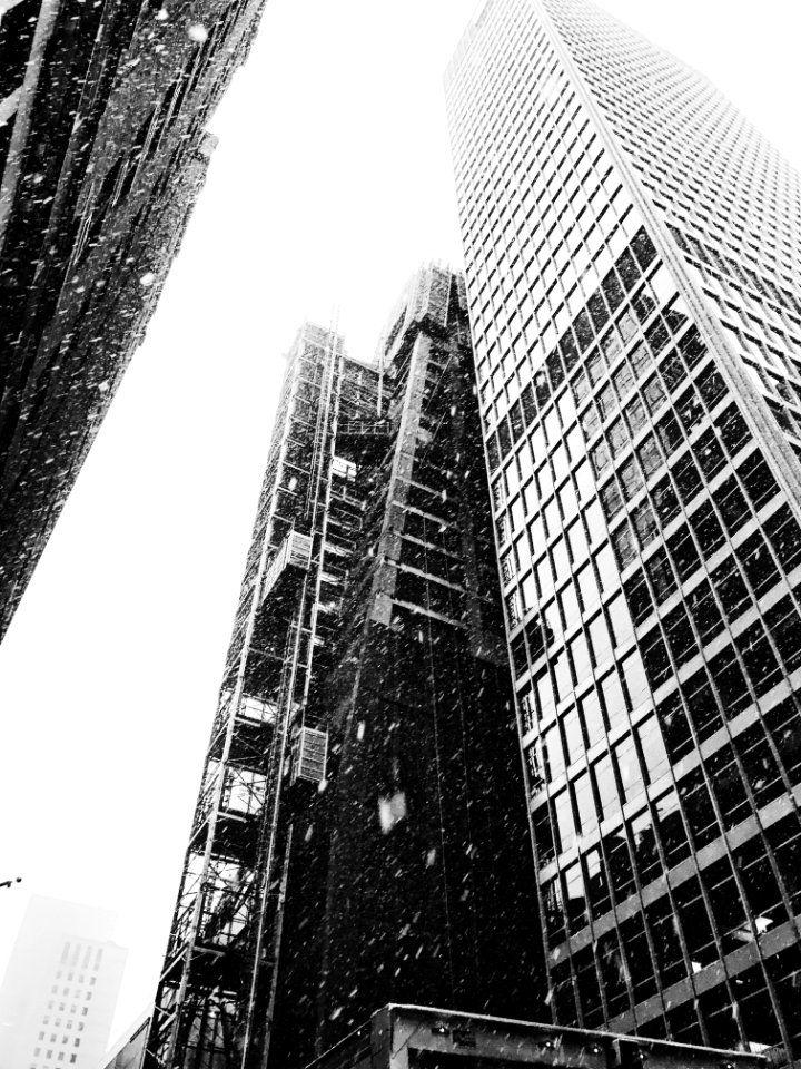 The museum of modern art, New york, United states