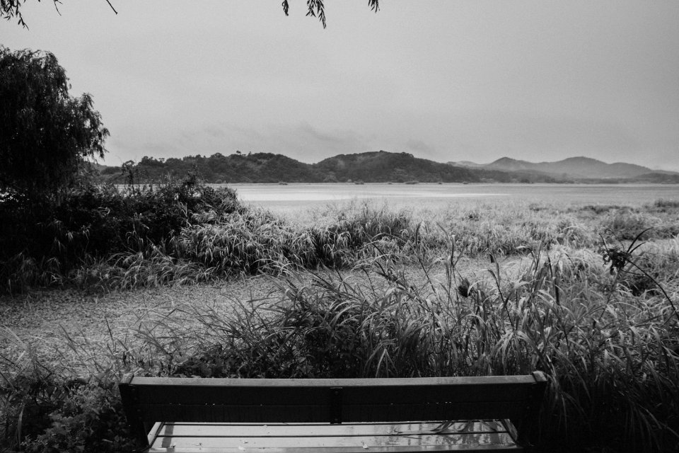 Upo Wetland, South korea