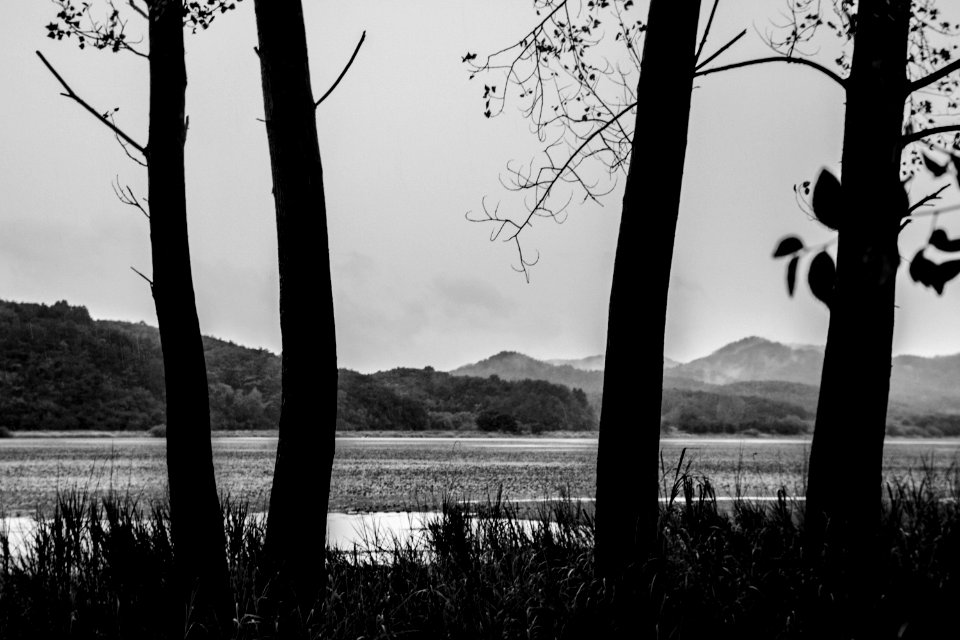 Upo Wetland, South korea