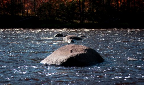 St croix state park, Hinckley, United states