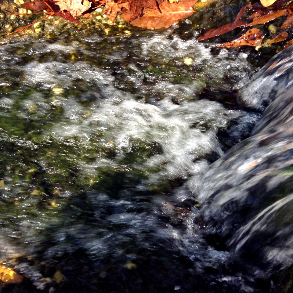 Artesian aquifer, Artesian well, Water