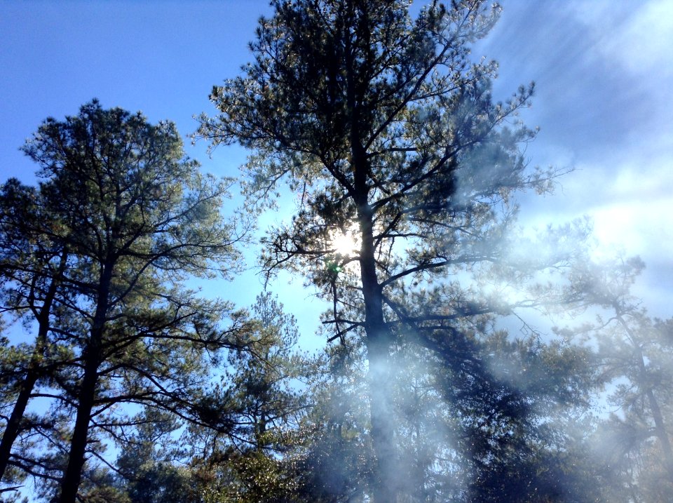 Sun ray, Sunshine, Sun