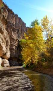Aravaipa canyon wilderness, Winkelman, United states