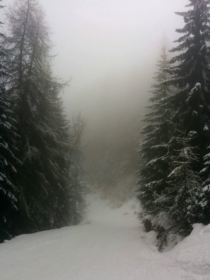 Dark, Winter, Mist