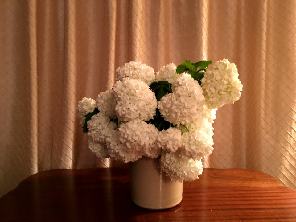 Flowers, White