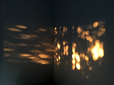 Window, Light