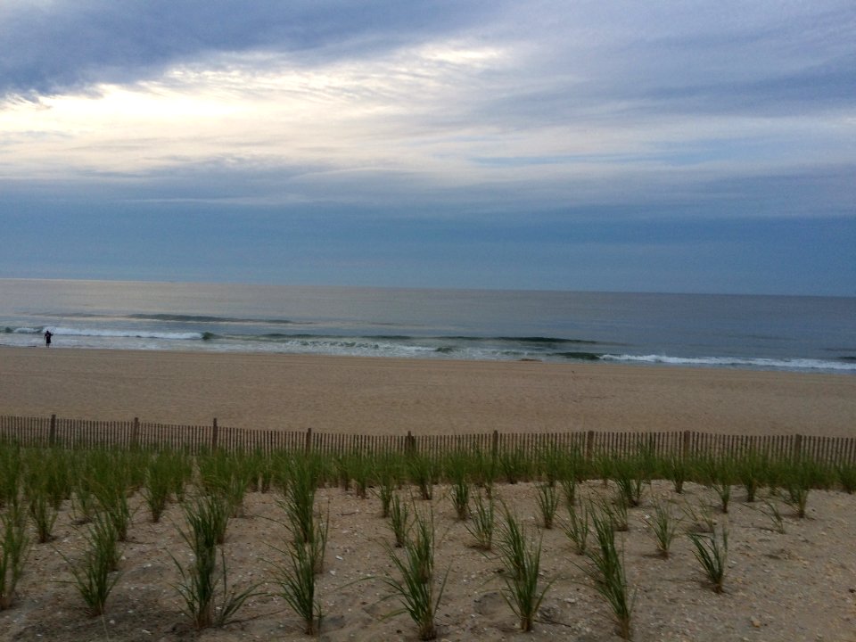 Beach haven gardens, Long beach township, United states