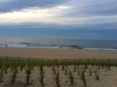 Beach haven gardens, Long beach township, United states