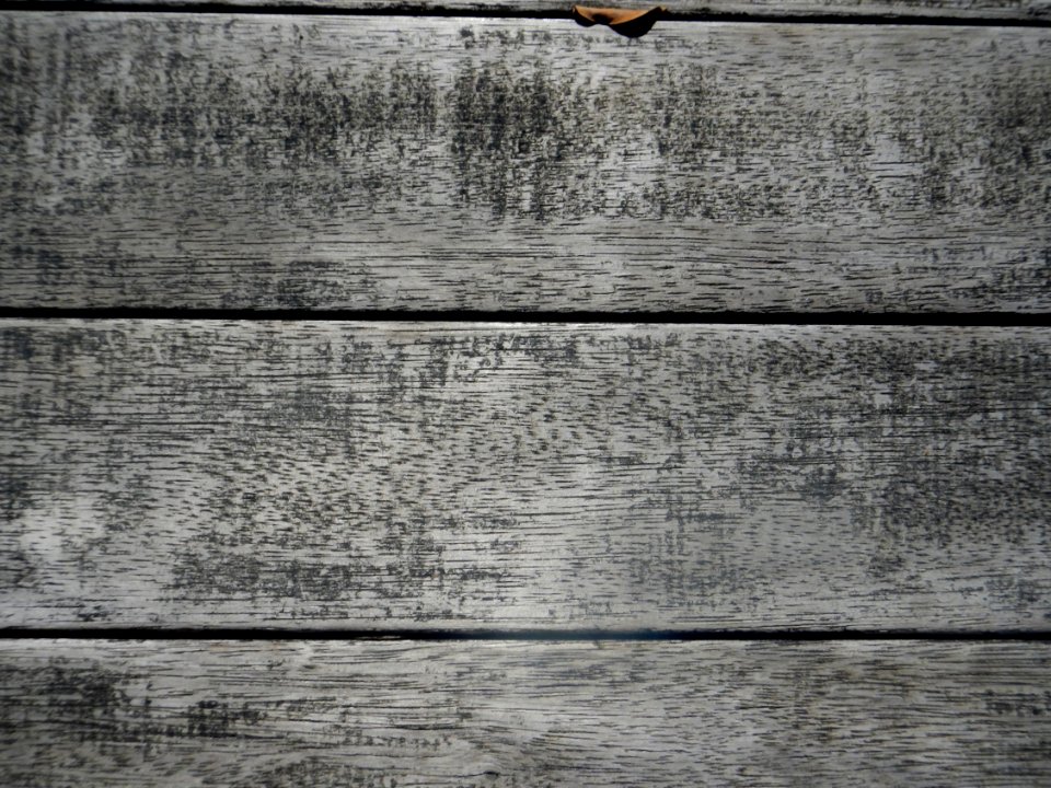 Brisbane, Australia, Texture