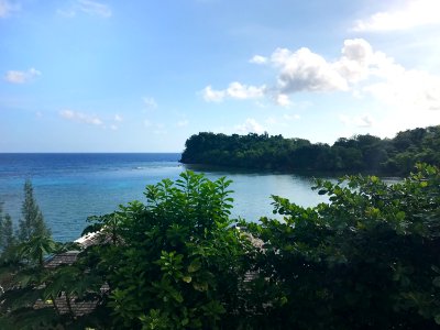 Jamaica, Port antonio, Nature