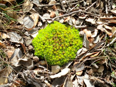 Soria, Spain, Natural