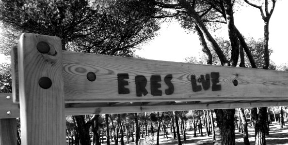 Madrid, Spain, Spanish