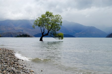 New Zealand, Wanaka, Nature