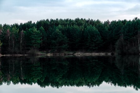 Woods, Travel, Germany