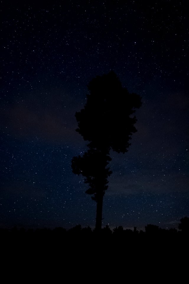 Winsen, Germany, Nature photography