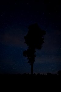 Winsen, Germany, Nature photography