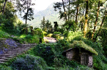 Nepal, Annapurna base camp, Ruk photo