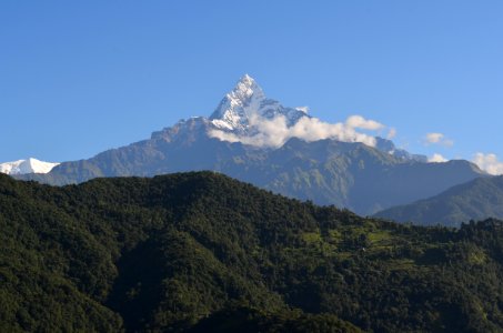 Nepal, Machhapuchhre base camp, Ruk photo