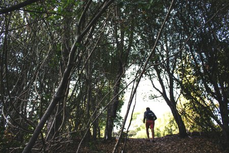 Los altos, United states, Hiking