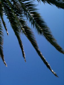 Les hauts de canet, Canet en roussillon, Occitanie photo