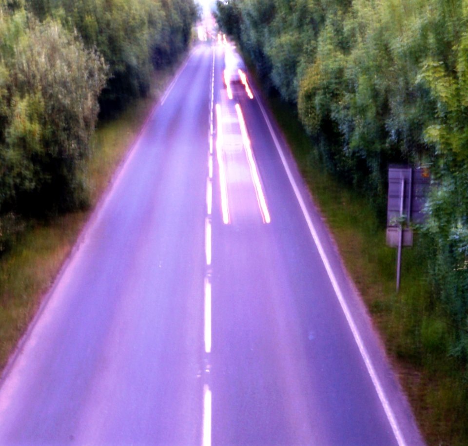 Picket twenty, United kingdom, Trees