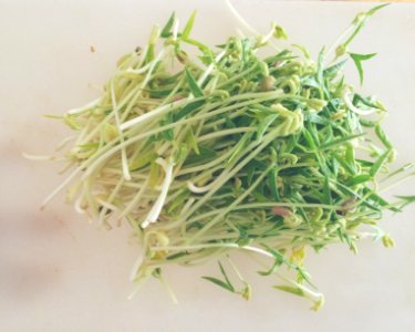 New york, United states, Home grown
