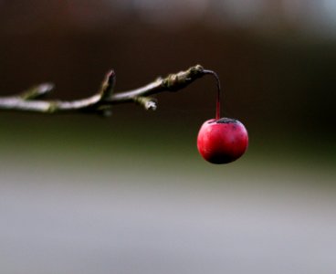 Warmington, United kingdom, 50mm