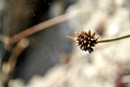 Nature, Time, Season