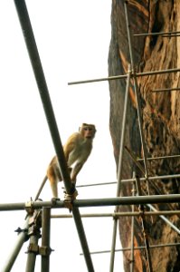 Sigiriya, Sri lanka, Ceylan